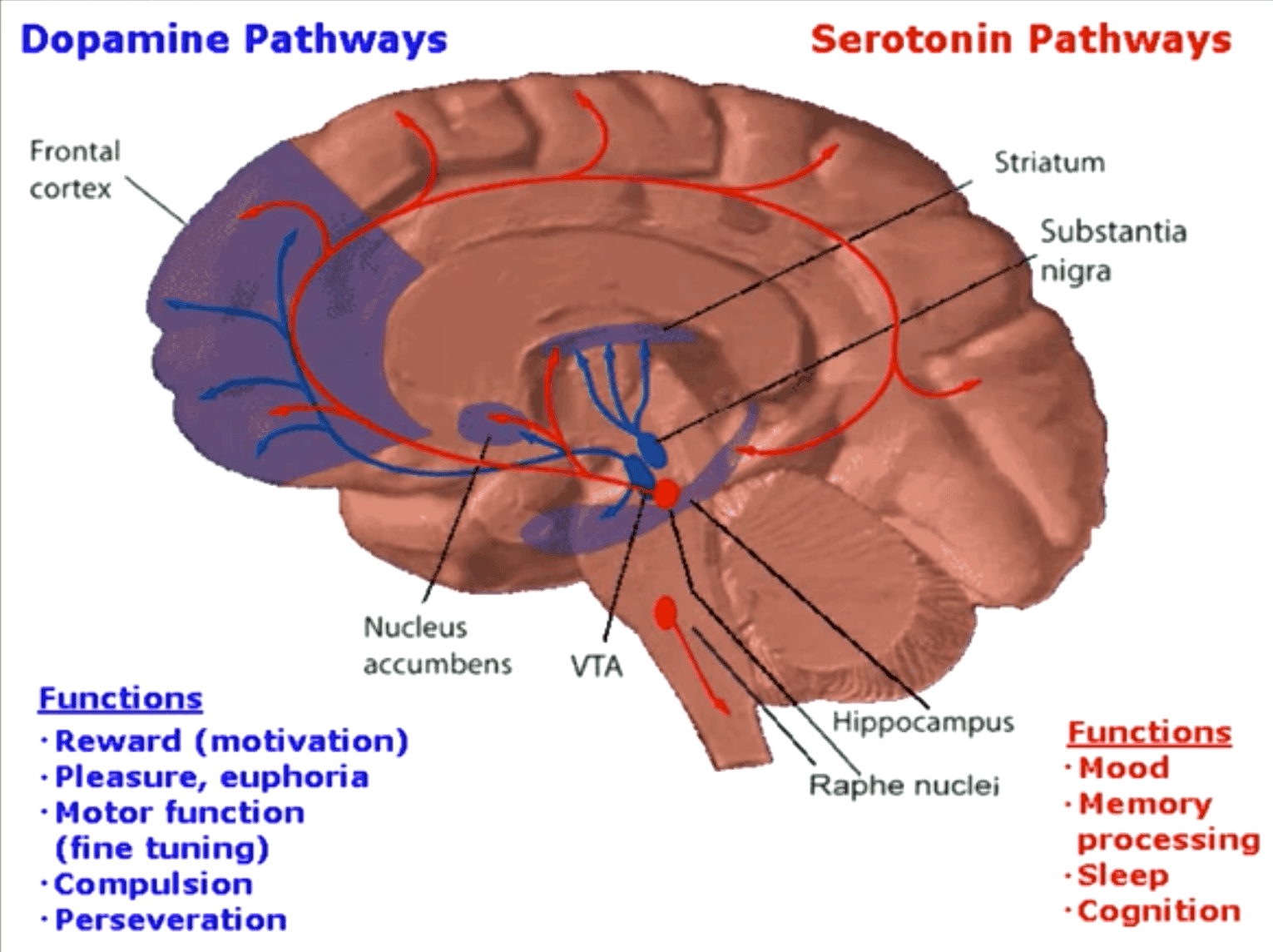 Chunking - Motivation